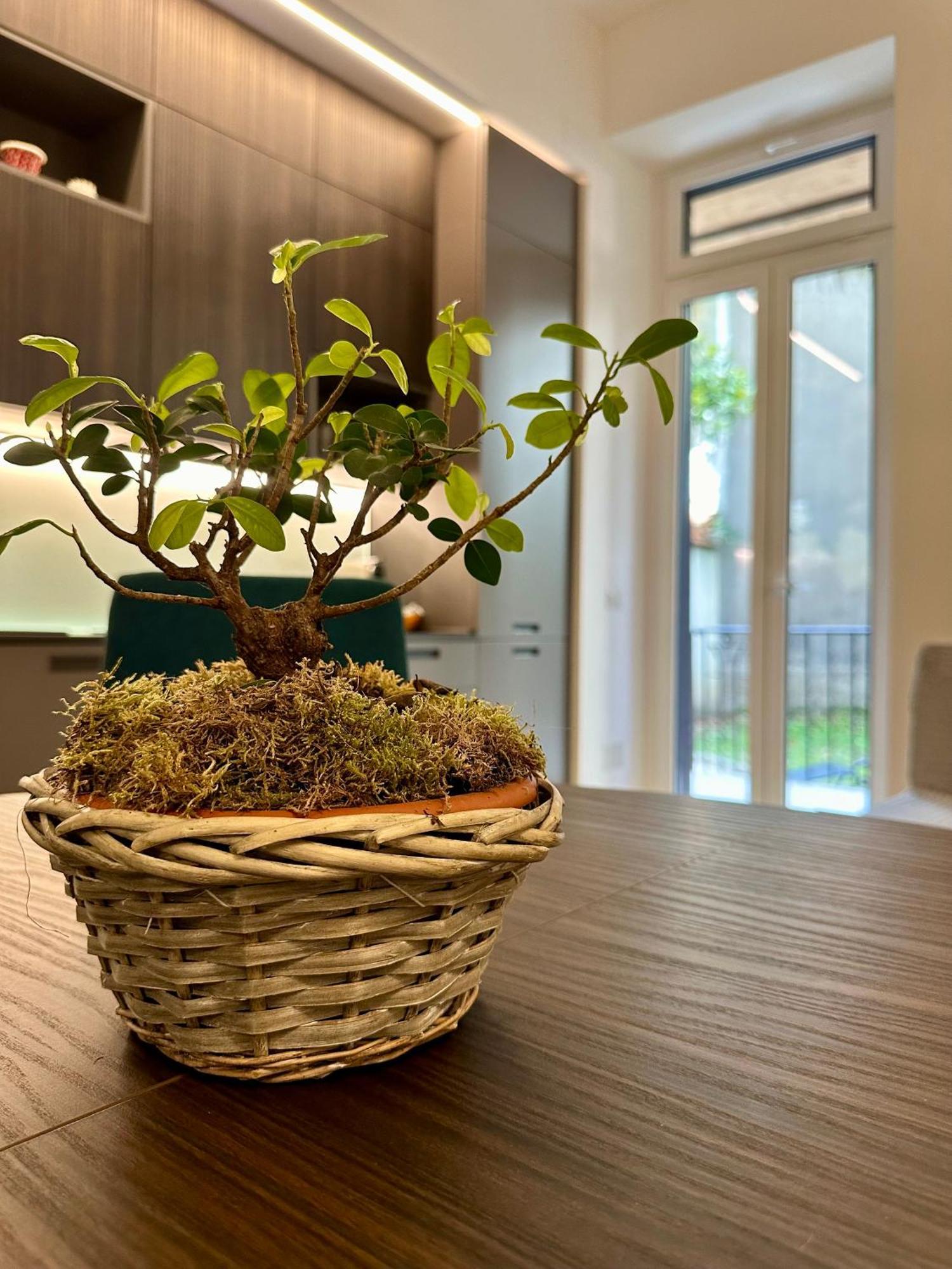 Lr Deluxe Apartments - Porta Venezia - Bilocale Con Giardino Privato ミラノ エクステリア 写真